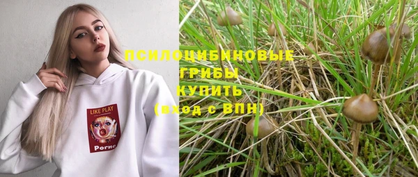 МДПВ Алексин