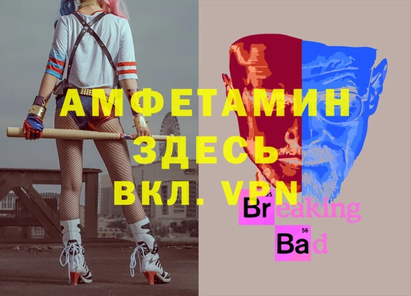 ECSTASY Алзамай