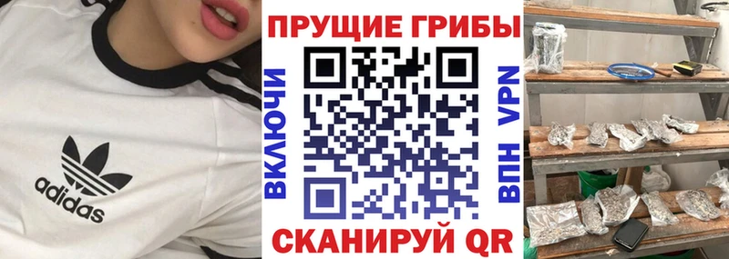 сколько стоит  Строитель  Галлюциногенные грибы прущие грибы 
